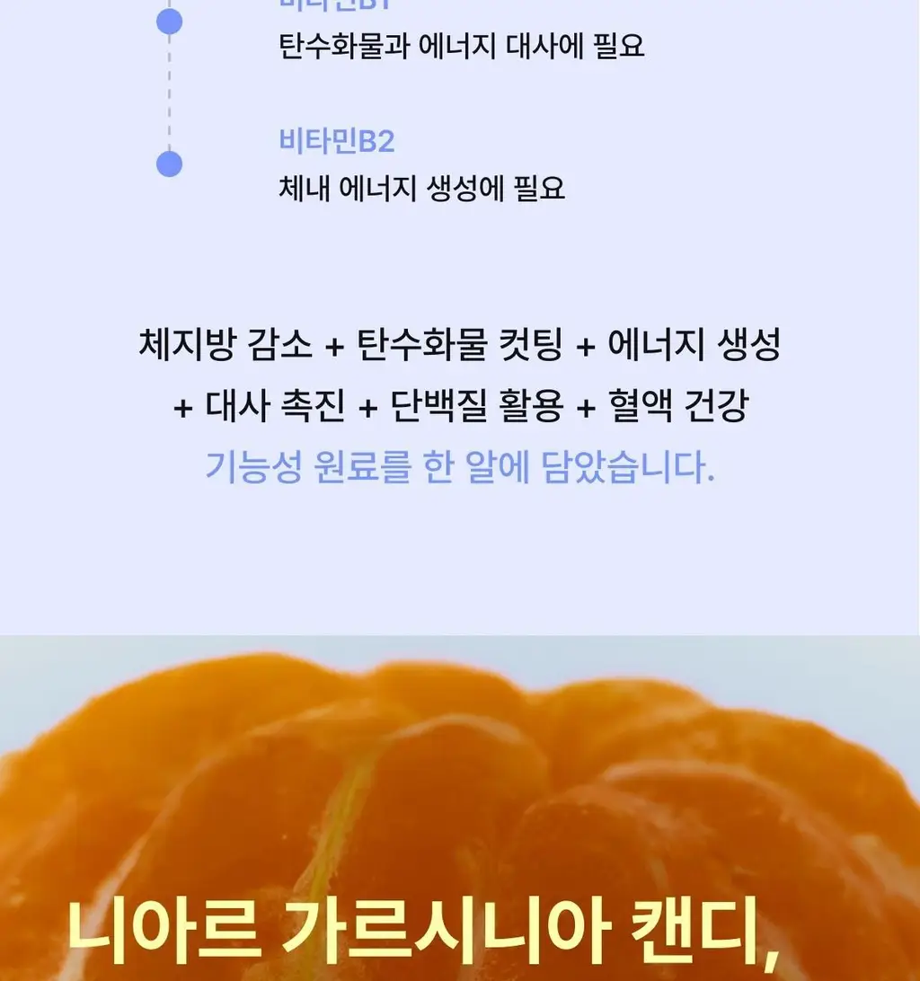 [포켓몬 에디션/5월 올영픽] 니아르 가르시니아/브이케어 14+6정 기획 (+미니하트괄사 랜덤 증정) 상세페이지 113